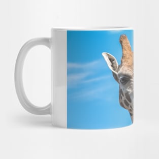 Close up photo of a Rothschild Giraffe head Mug